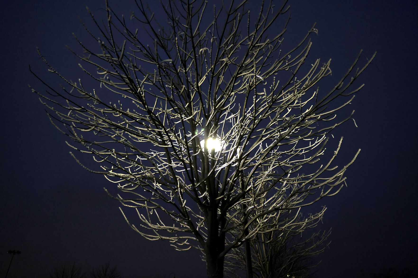 Cold Weather